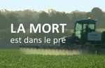 mort-dans-le-pre-pesticides