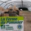 ferme-pommier-amap-bio-lille